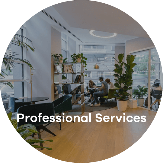 Professional services marketing